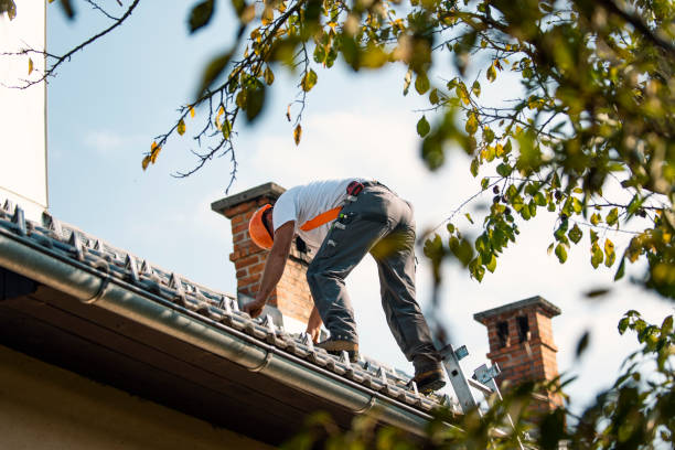 Best Roof Ventilation Installation  in Kerhonkson, NY
